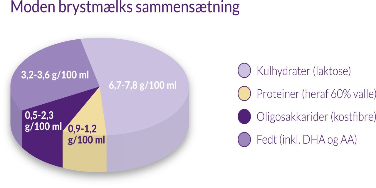 Kan vi forebygge allergi med fibre?